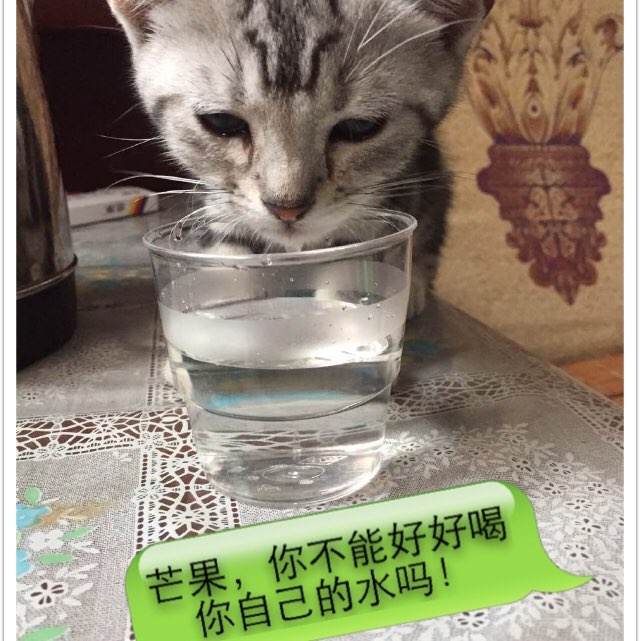 高仿不动产登记证明